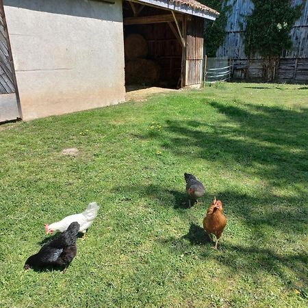 Bed and Breakfast L' Embellie Sur Lot Sainte-Livrade-sur-Lot Экстерьер фото